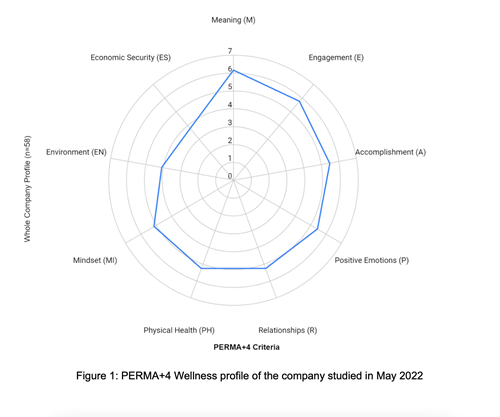 Leading for wellbeing: Strategies to adopt in the workplace to meet ...